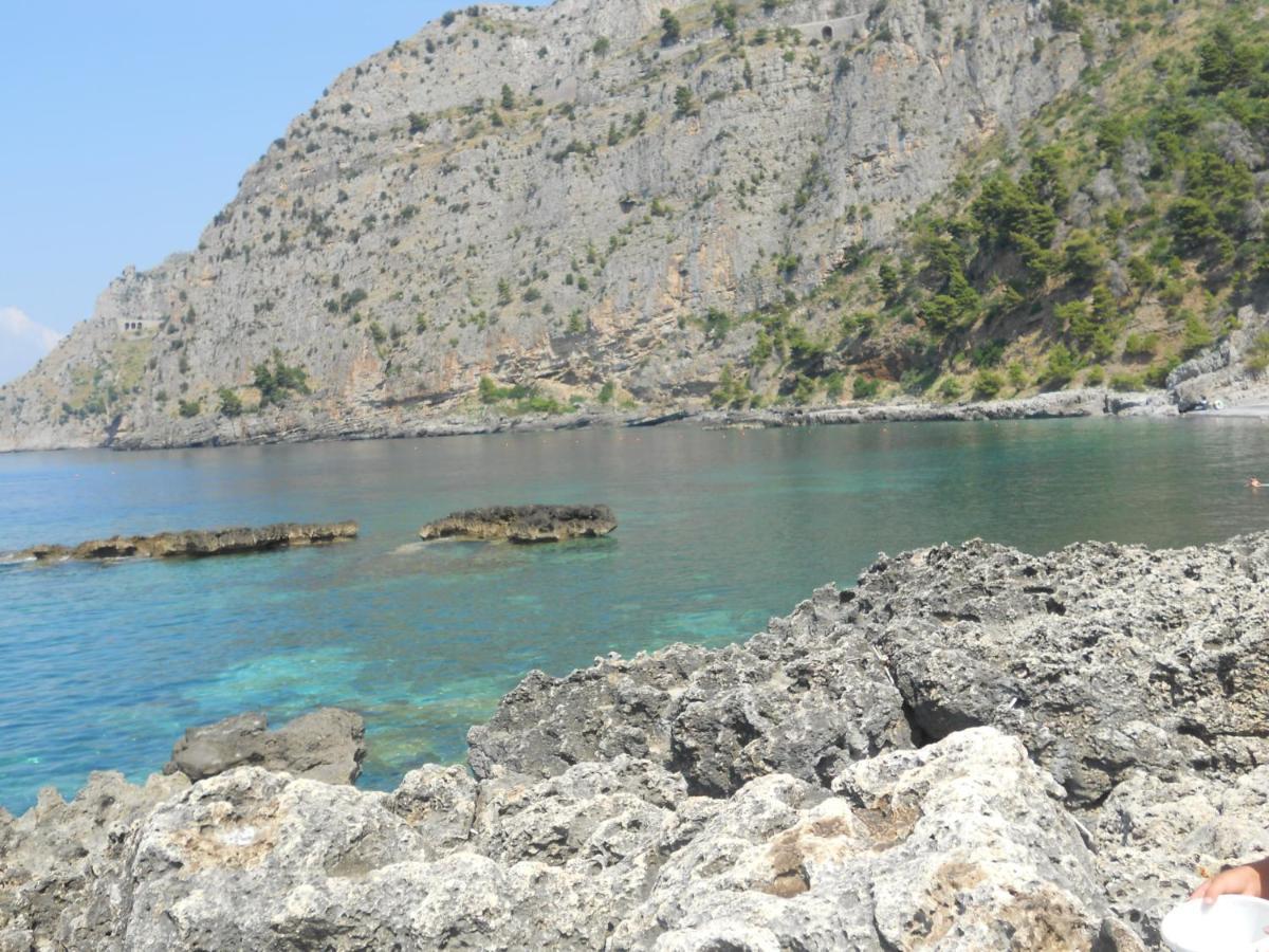 Villa Luisa Sul Mare Капитело Екстериор снимка