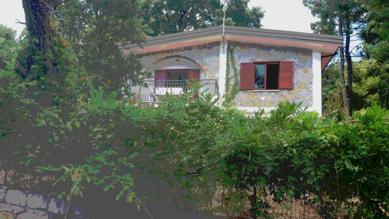 Villa Luisa Sul Mare Капитело Екстериор снимка