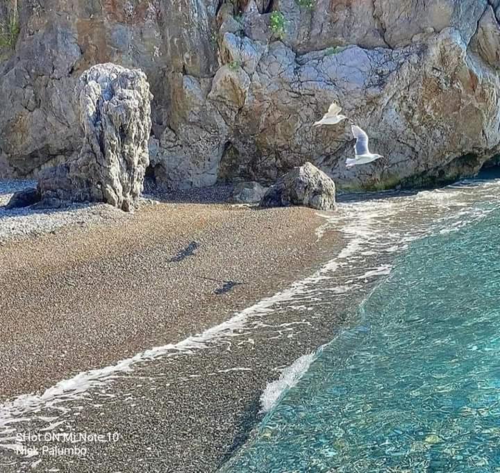 Villa Luisa Sul Mare Капитело Екстериор снимка